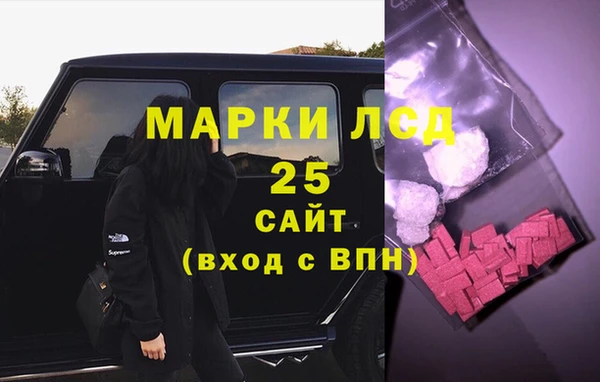 сатива Корсаков