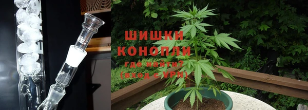 молекула духа Краснослободск